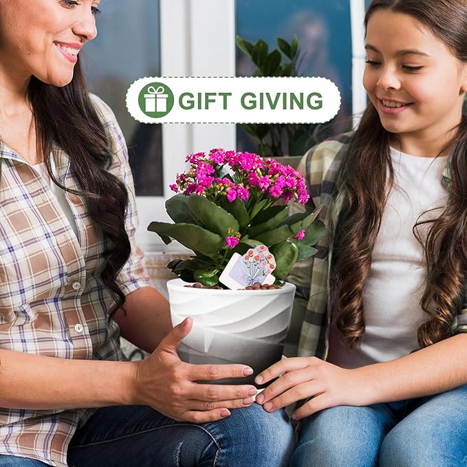 6.7 + 5.5 Inch Plant Pot, Ceramic Planter with Drainage and Saucer,Ceramic Pots for Plants, Indoor Plant pots,Ceramic Flower pots(Dark Gray+White)
