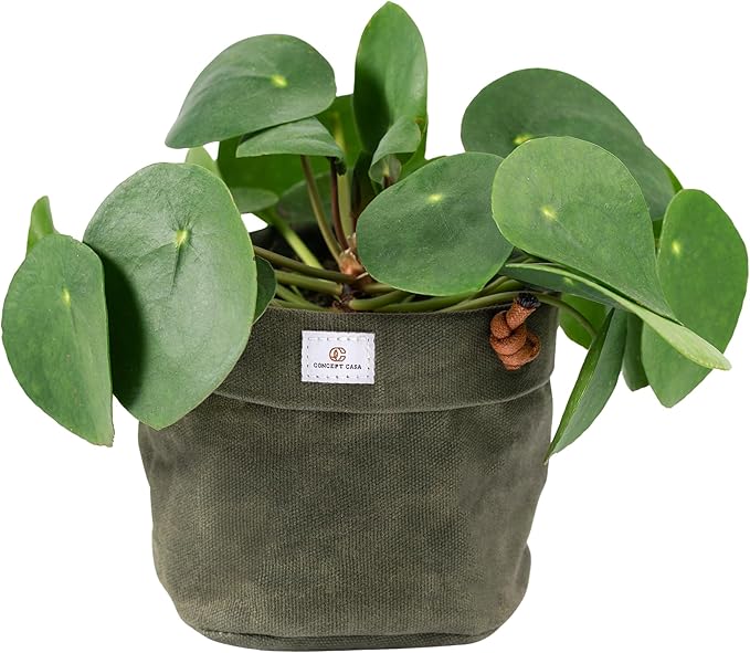 Waxed Canvas Handmade Hanging Planter for Indoor/Outdoor Plants, Hanging Basket Plant Holder Forest Green