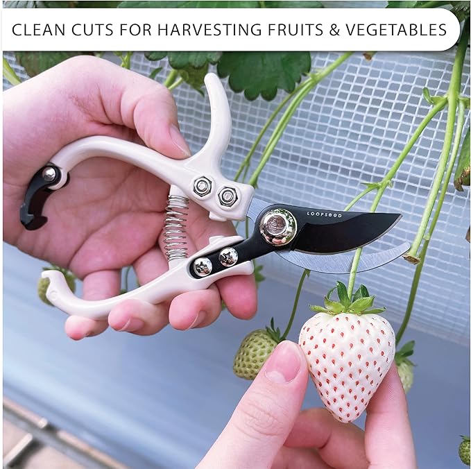 Bypass Pruning Shears Hand Pruner Garden Trimming Scissors Plant Trimmers Herb Snips Flower Clippers Ergonomic Handle Modern Garden Tools (Classic Cream)