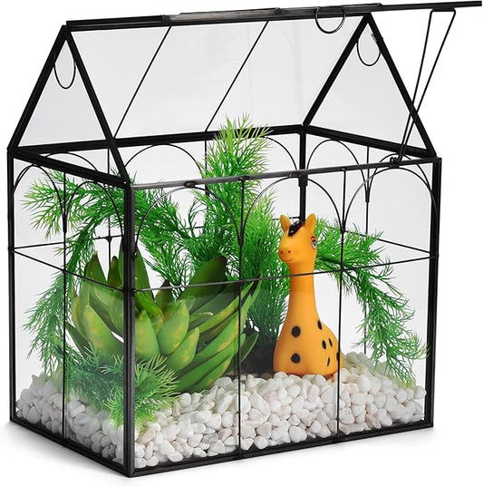 Window Garden Glass Terrarium with Lid - 9x11x6-Inch Indoor Greenhouse Plant Terrarium Decor Planter Dome - Terrarium Kit Tabletop Greenhouse - Plant Accessories Ideal Gift for Nature Lovers