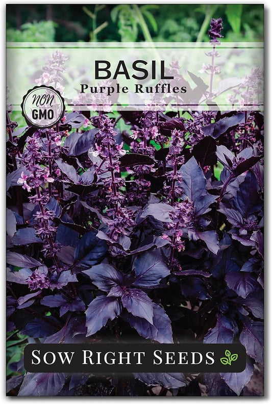 Sow Right Seeds - Purple Ruffles Basil Seeds for Planting - Non-GMO Heirloom Packet with Instructions - Indoors or Outdoor - Great for Hydroponics or Growing Kitchen Herb Garden - Purple Leaves (1)