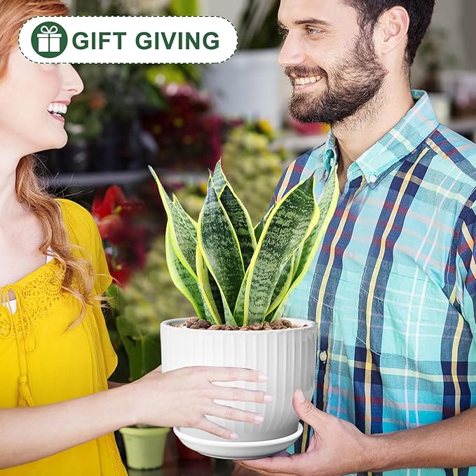 6.7 + 5.5 Inch Plant Pot, Ceramic Planter with Drainage and Saucer, Ceramic Pots for Plants, Indoor Plant pots,Ceramic Flower pots(Pure White, Plants NOT Included)