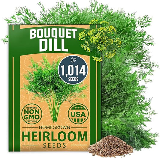 HOME GROWN Dill Seeds for Planting - 1014 Premium Bouquet Dill Seeds, Non-GMO and Heirloom Herb Seeds for Planting Outdoors, Grow Your Fragrant Dill Herb Garden (Anethum graveolens)