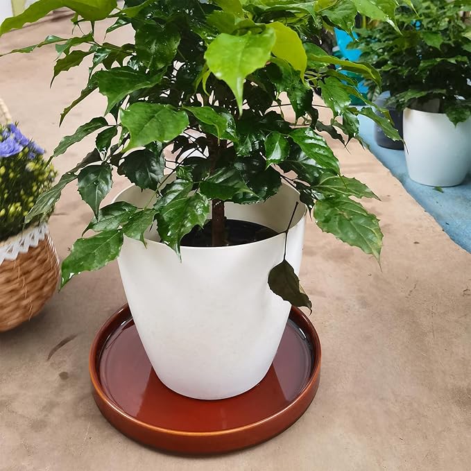 Ceramic Plant Saucer 9 Inch, Round Plant Trays for Indoors/Outdoors, Flower Pot Saucers for Holding Water Drips and Soil, Ceramic Drainage Tray for Plant Pot (Brown)