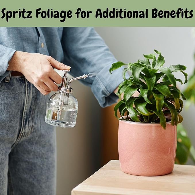 Dry Horticultural Molasses Powder (2 Pounds), Indoor/Outdoor Gardening Soil Amendment for Plants