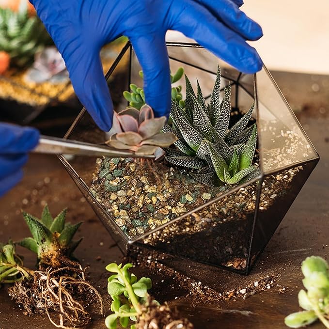 Terrarium Potting Soil Mix 4qt, Custom Made for Terrariums, Perfect for Vibrant Miniature Gardens