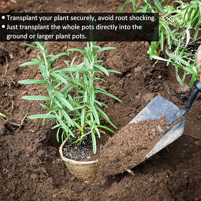 GROWNEER 30 Packs 4 Inch Peat Pots Plant Starters for Seedling with 15 Pcs Plant Labels, Biodegradable Herb Seed Starter Pots Kits, Garden Germination Nursery Pot