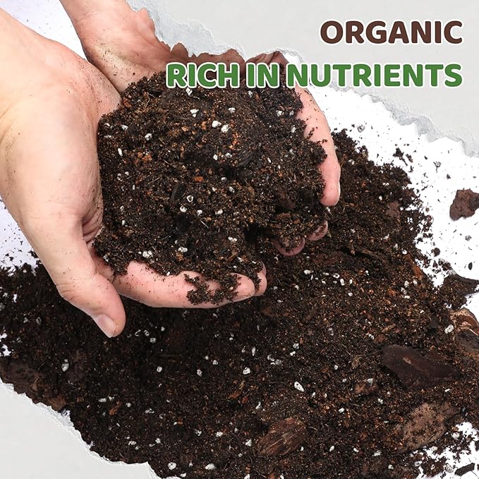 Premium Snake Plant Soil Mix 2qt, Indoor Plants Potting Mix for All Potted Snake Plants, Promote Healthy Growth and Easy Care