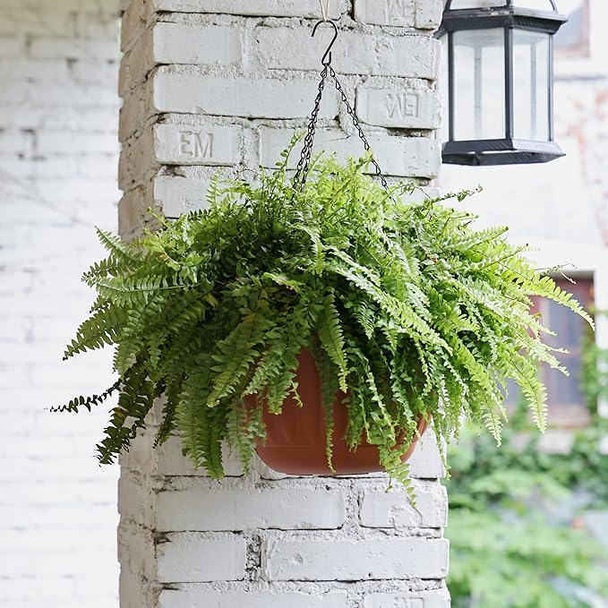 YIKUSH Hanging Planter for Indoor and Outdoor Plants 2 Pack 12 inch Flower Pot Plastic Plant Pot with Drainage Hole and Absorbing Tray(Terracotta)