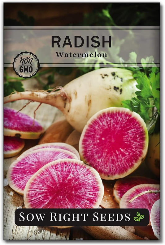 Sow Right Seeds - Watermelon Radish Seed for Planting - Non-GMO Heirloom Packet with Instructions to Plant a Home Vegetable Garden - Unique & Rare Veggie, Watermelon-Like Coloring When Cut (1)