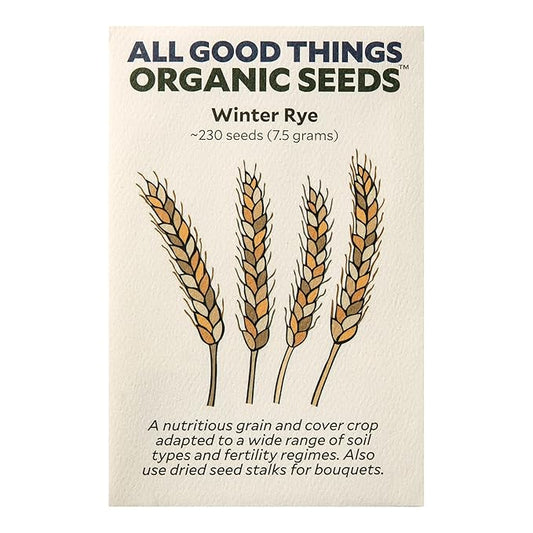 All Good Things Organic Winter Rye Seeds - Pack of 230, Heirloom Seeds for Planting Grains, Vegetables - Gardening Supplies, Grain, Vegetable Garden - Non-GMO, Open Pollinated, from USA