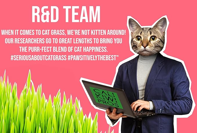 Ornamental Indoor Planter with Pet/Cat Grass Growing kit, Handcrafted in The USA from Red Cedar (Whitewash)