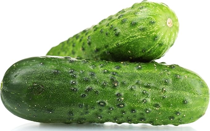 Spacemaster Cucumber Seeds - Heirloom Non-GMO USA Grown - Compact Bush Variety Produces 8" Cucumbers on Compact Vines Perfect for Small Spaces and Container Gardening - by RDR Seeds