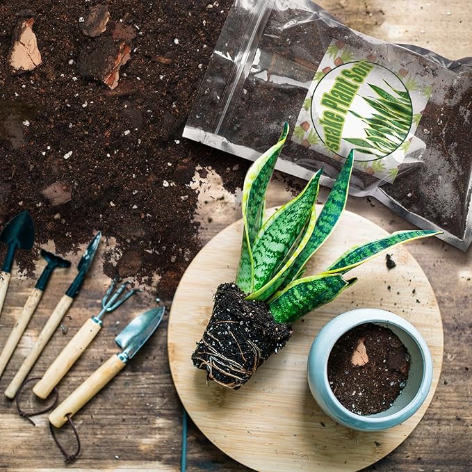 Premium Snake Plant Soil Mix 2qt, Indoor Plants Potting Mix for All Potted Snake Plants, Promote Healthy Growth and Easy Care