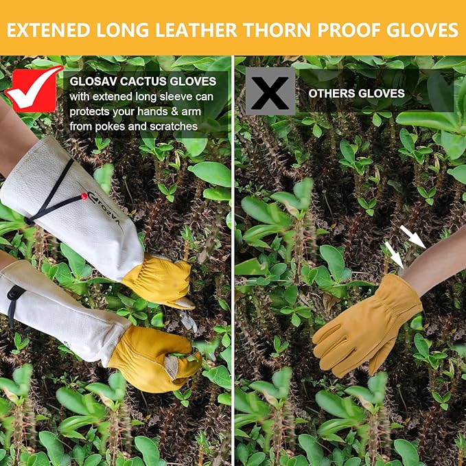 Cactus Gloves, Thorn Proof Gardening Gloves for Rose Pruning & Cacti Handling (X-Large (Pack of 1), Yellow-reinforce)