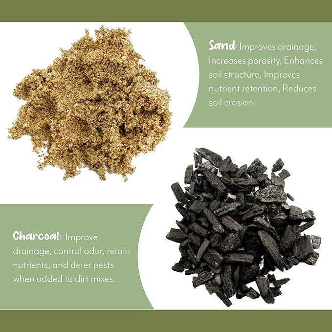 Fern Plant Potting Soil Mix (2 Quarts), Custom Hand Blended Mixture for Indoor/Outdoor Container Gardening