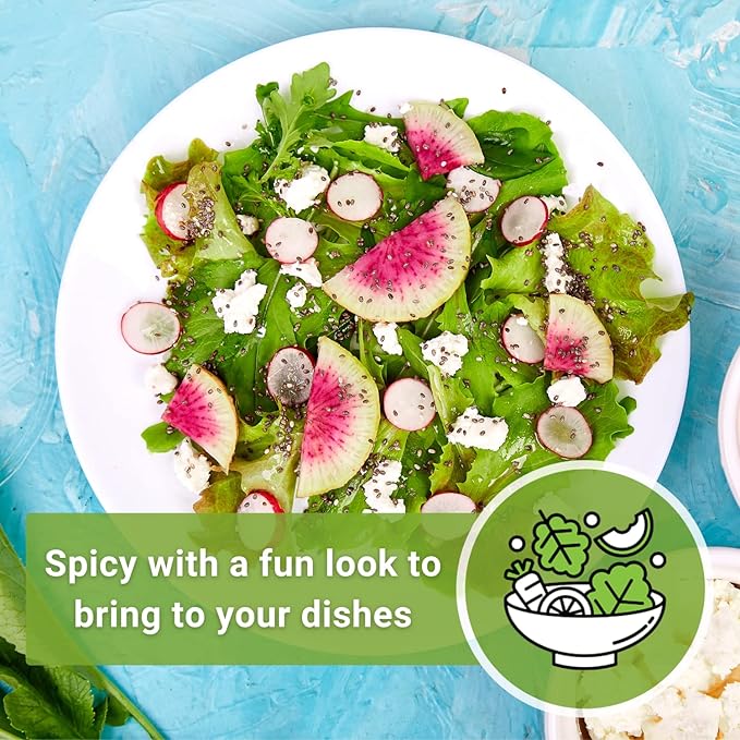 Sow Right Seeds - Watermelon Radish Seed for Planting - Non-GMO Heirloom Packet with Instructions to Plant a Home Vegetable Garden - Unique & Rare Veggie, Watermelon-Like Coloring When Cut (1)