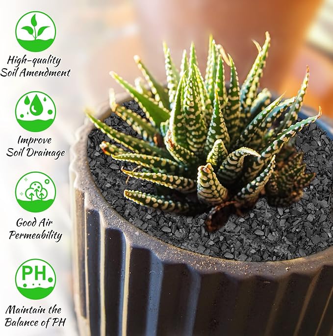 Legigo 6QT All Natural Horticultural Charcoal- Activated Hardwood Plant Charcoal for Soil Amendment, Conditioning Bonsai Soil, Succulent Soil, Terrarium Supplies, Indoor Plant Potting Soil