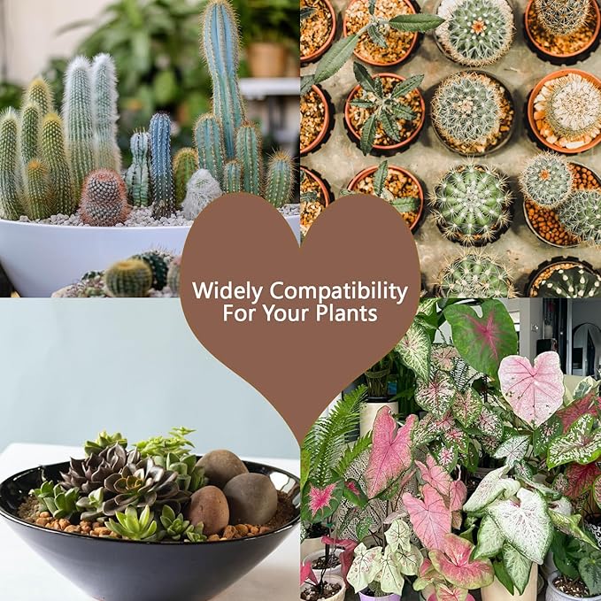 Mix Horticultural1.5lbs Lava Rocks Mixed Potting Soil for Plants Bonsai Succulents and Cacti Soil Decoration Gravel Volcanic Pumice Stones for Terrarium, Top Dressing, Fairy Gardening