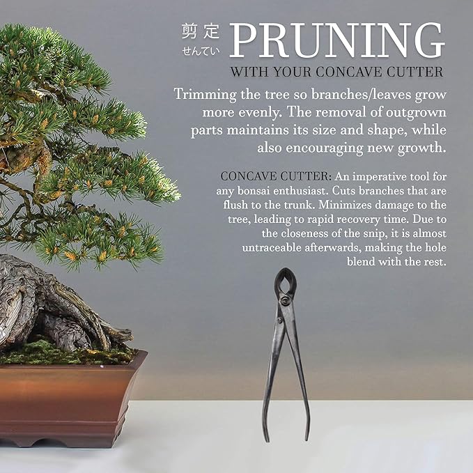 BambooMN Bonsai Tool Kit - 8" Concave Cutter & 8" Knob Cutter - 10 Sets