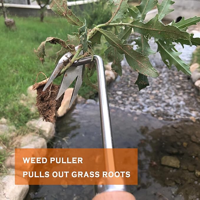 SHANFEEK Weed Puller with M-Shape Claw Weeding Artifact Uprooting Weeding Tool Dandelion Puller Tool Gardening Hand Tools Weed Remover Tool for Yard with Hard Solid Wood Handle(M-Type)