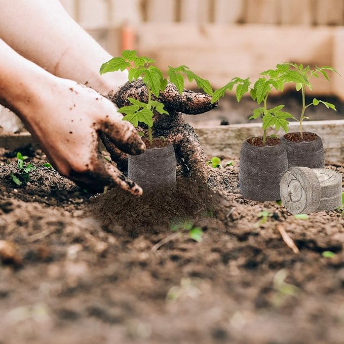 ZeeDix 200 Pcs (30mm) Peat Pellet Fiber Soil Plant Seed Starters- Seed Starter Pellets Pods Compressed Peat Pellets for Grow Herbs, Plant, Flowers, Vegetables, Seed Pods for Planting Easy Transplant