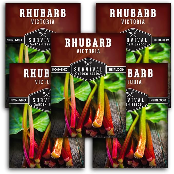 Survival Garden Seeds - Victoria Rhubarb Seed for Planting - 5 Packets with Instructions to Plant and Grow Cold-Tolerant Perennial Spring Vegetables in Your Home Garden - Non-GMO Heirloom Variety