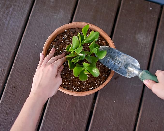 Planting Mix for Plant Propagation (4 Quarts), Hand Blended Soilless Mix for Propagating Plants, House Plants, and More