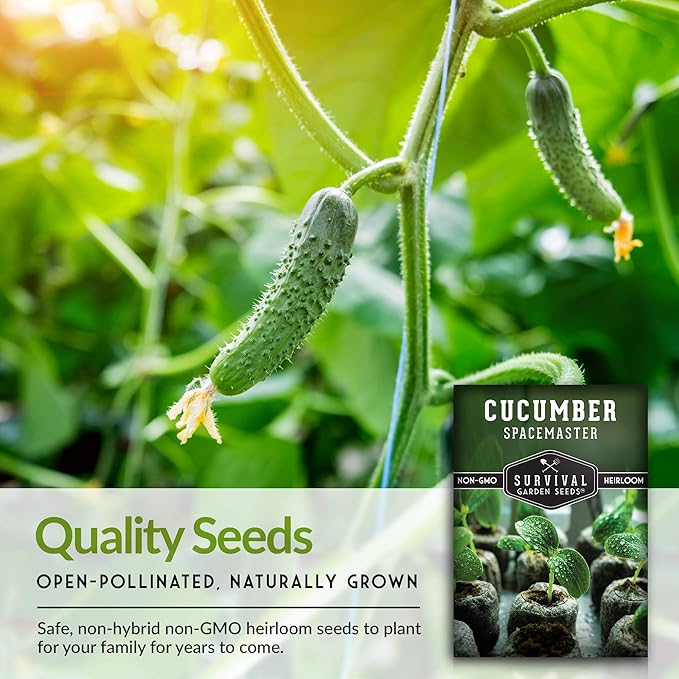 5 Packs Spacemaster Cucumber Seed for Planting - Packet with Instructions to Plant Container Friendly Cucumbers in Your Home Vegetable Garden - Non-GMO Heirloom Variety - Survival Garden Seeds