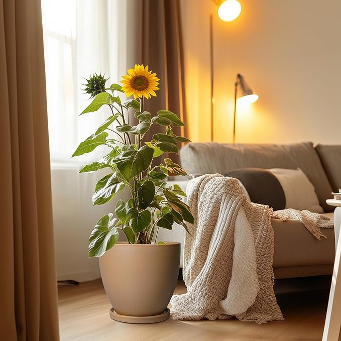 10 Inch Planter - Ceramic Pots for Plants, Planters with Drainage Hole and Tray, Modern Flower Pots Indoor, Home Living Room Patio Porch Garden Office Decor, Brown