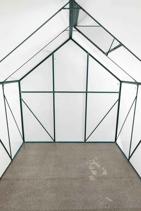 Favfurish 6x8FT Polycarbonate Walk-in Greenhouses, Heavy Duty Hobby Green House, Storage Shed with Sliding Doors & Adjustable Roof Vent, Aluminum Sunroom Hot House for Outdoor Garden Backyard