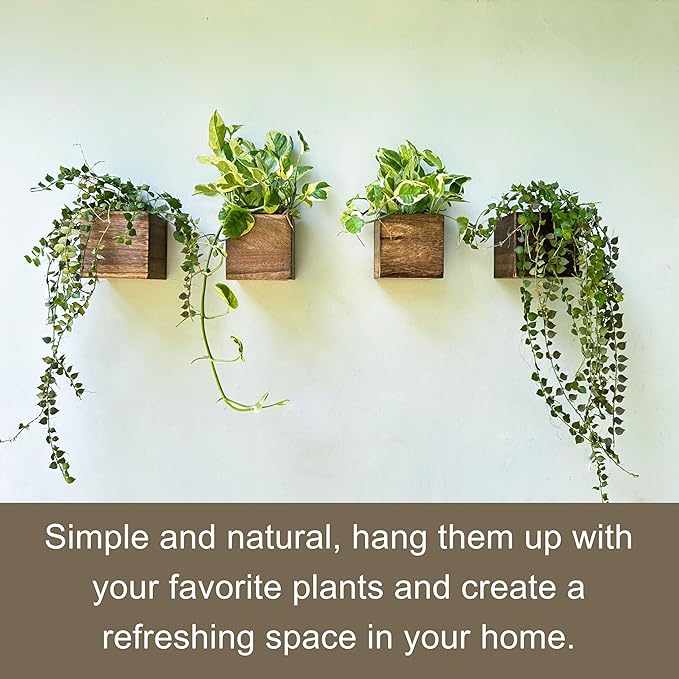 LaLaGreen Wood Planter Boxes (4 Pack, 4x4 Inch) Small Square Wooden Wall Mounted Flower Pot for Indoor Plants, Window Box Mount Hanging Herb Planters Outdoor Plant Holder Vertical Garden Home Decor