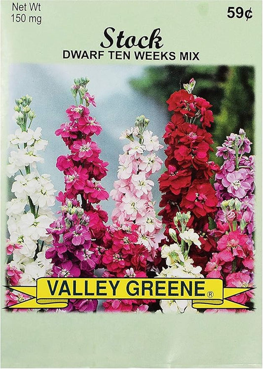 Set of Flower Seed Packets! Flower Seeds in Bulk - Great for Creating The Garden of Your Dreams! (50, Stock - Dwarf Ten Weeks)