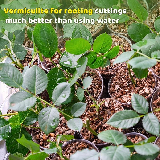Vermiculite for Gardening 2qt, Horticultural Sand Perfect for Seed Starter or Propagation by Cutting, Soil Addictive for Aeration and Moisture Retention