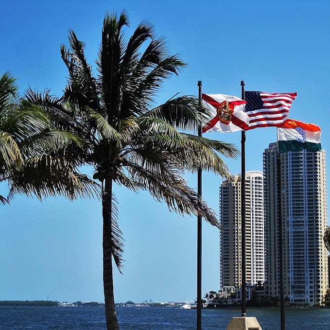 ROTERDON Florida Flag 4x6 Outdoor, 210D Heavy Duty FL State Flags Outside, Embroidered Stars and 2 Stitch Hemmings, Double Sided Banner with 2 Brass Grommets