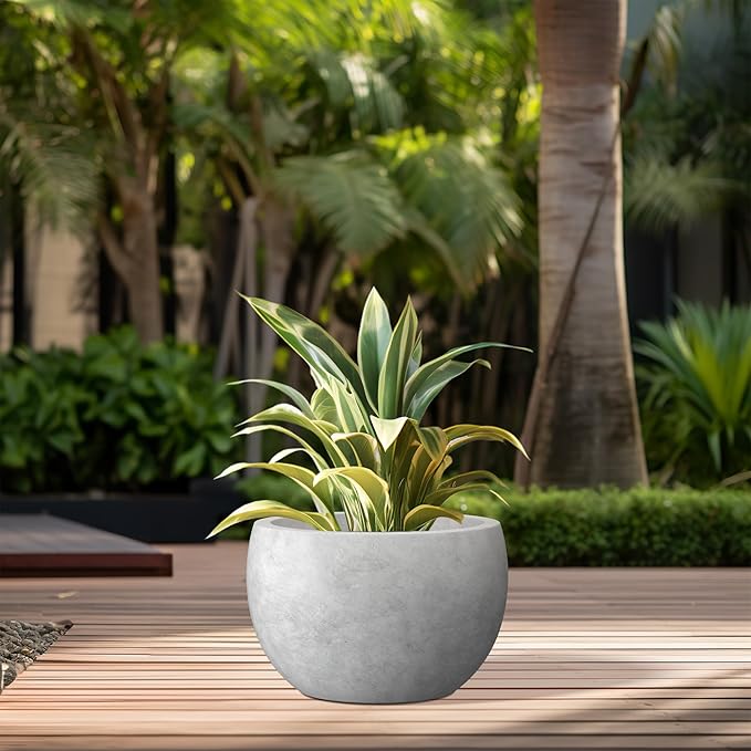 Kante 11.8" Dia Round Concrete Planter, Outdoor/Indoor Large Bowl Plant Pots with Drainage Hole and Rubber Plug for Garden Patio Balcony Home, Natural Concrete