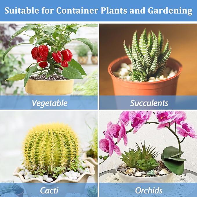 Riare 6 Quarts Organic Perlite for Plants - Horticultural Perlite Soil Amendment for Plants Potting Mix, Natural Chunky Perlite Soil Additive Conditioner Improve Root Growth, Drainage and Ventilation