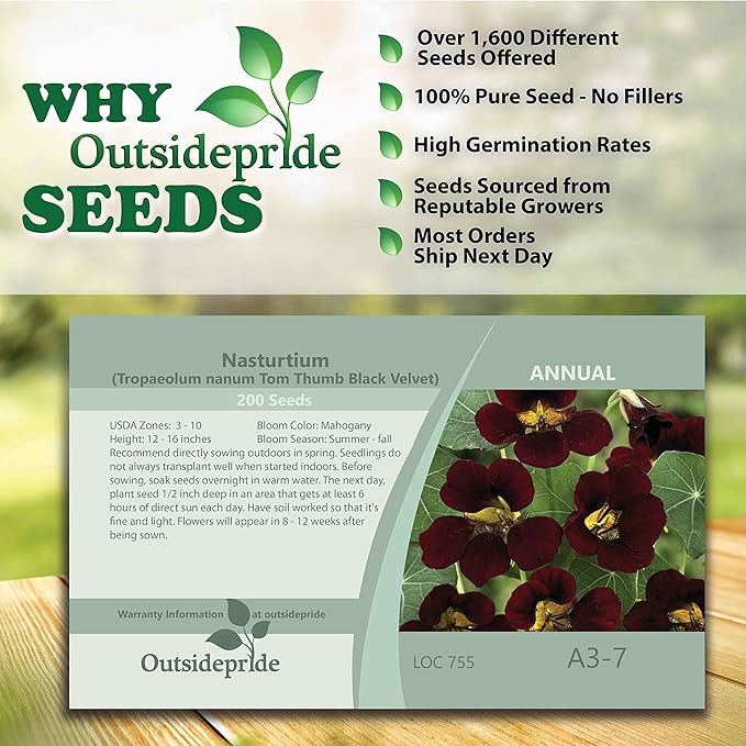 Outsidepride 400 Seeds Annual Nasturtium Mahogany Black Velvet Cimbing Vine Flower Seeds for Planting