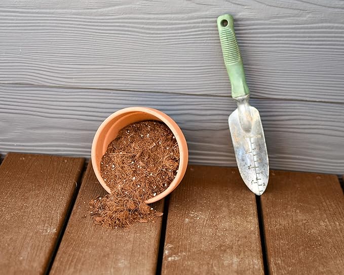 Tropical House Plant Potting Mix (4 Quarts); for All Types of Indoor House Plants