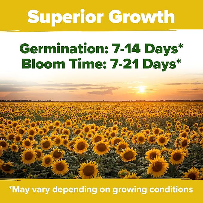 HOME GROWN Sunflower Seeds for Planting (8 Unique Varieties) 1000+ Sun Flower Seeds to Plant - Grow Dwarf Sunflowers, Mexican Sunflowers, Wild, Lemon Queen, Autumn Beauty, Sunspot, Velvet Queen