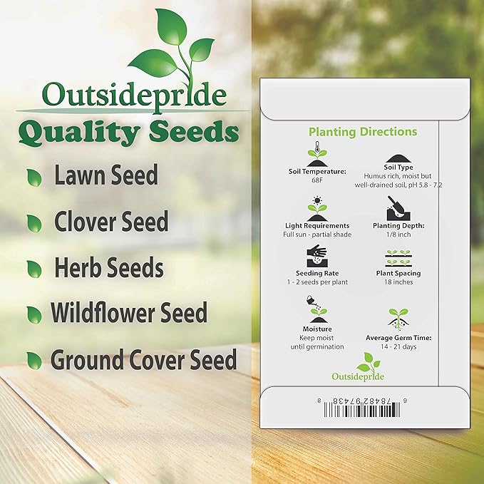 Outsidepride 100 Seeds Annual Cerinthe Major Honeywort Flower Seeds for Planting