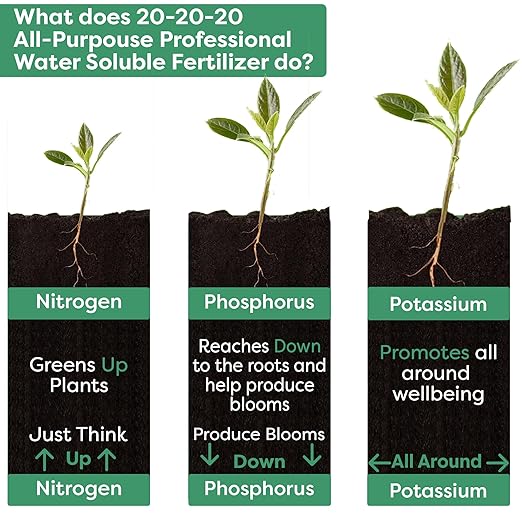 20-20-20 Water-Soluble Fertilizer โ Powder for Liquid Plant Food for Indoor & Outdoor Plants, Orchids, Vegetables, Lawns, Flowers โ 20 20 20 Fertilizer (1 Quart)