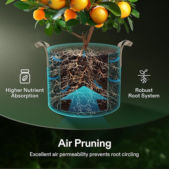 VIVOSUN 5-Pack 20 Gallons Grow Bags Heavy Duty Thickened Nonwoven Fabric Pots with Strap Handles Tan