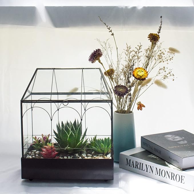 Large Tall Glass Plant Terrarium – House Succulent Terrarium Kit with Lip and Tray, 9.5”X5.7”X11.4”