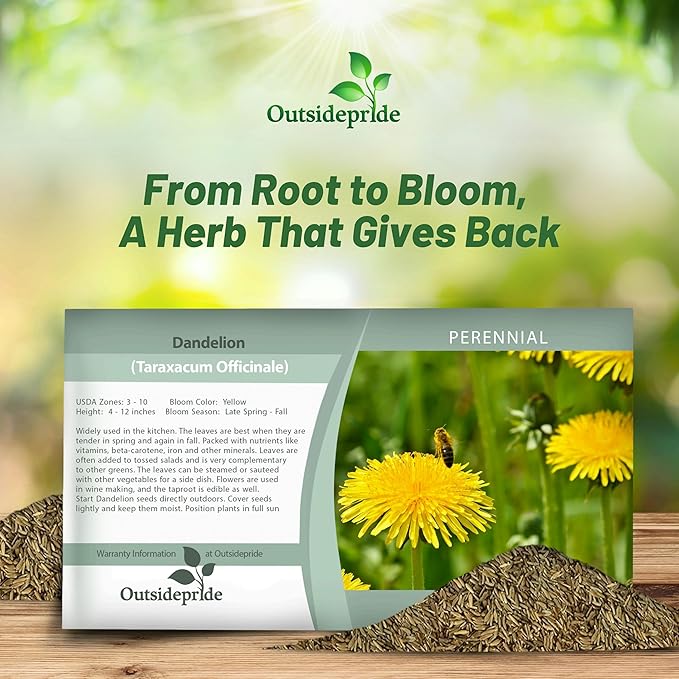 Outsidepride 10000 Seeds Perennial Taraxacum Officinale Dandelion Herb Garden Seeds for Planting