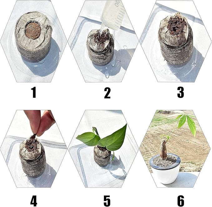 Woohome 150 PCS Peat Pellets Seeding Soil with Plant Label, Nutrient Block Compressed Peat Block, Plastic Plant Tags and Loose Soil Tool for Indoor Outdoor Gardening Seedling Transplanting Growing