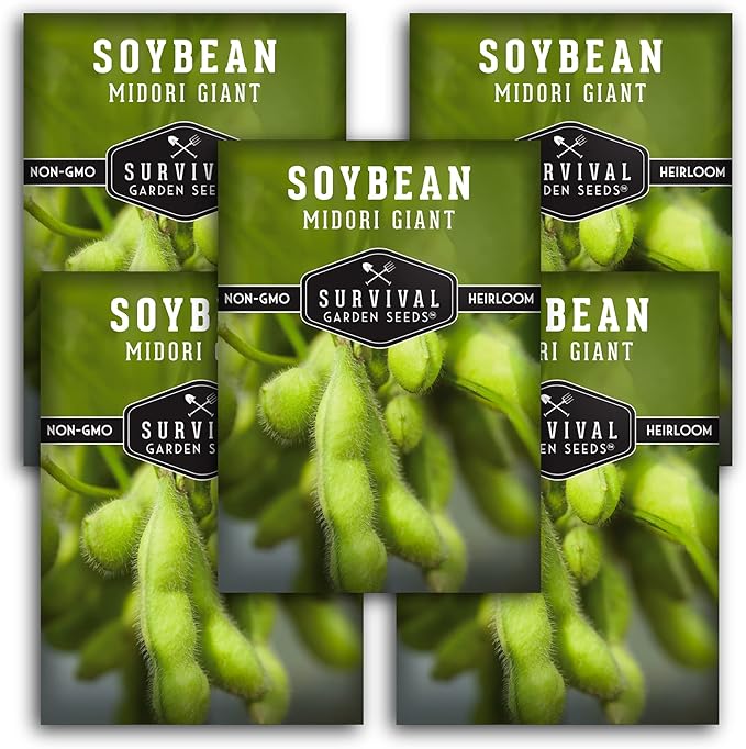 Survival Garden Seeds - Midori Giant Soybean Seed for Planting - 5 Packs with Instructions to Plant and Grow Protein-Rich Edamame Pods in Your Home Vegetable Garden - Non-GMO Heirloom Variety