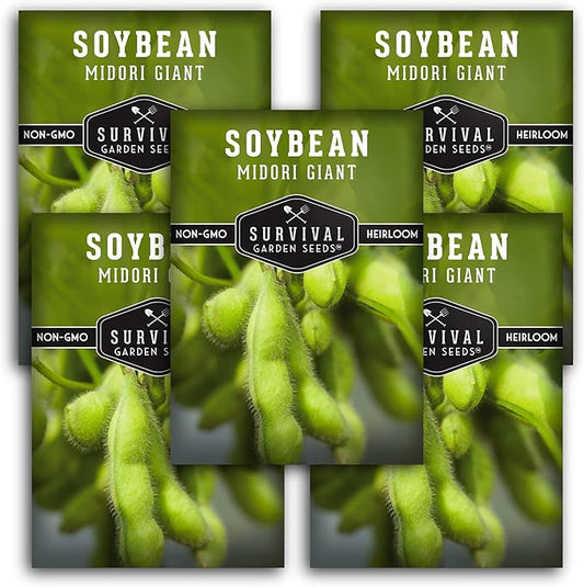 Survival Garden Seeds - Midori Giant Soybean Seed for Planting - 5 Packs with Instructions to Plant and Grow Protein-Rich Edamame Pods in Your Home Vegetable Garden - Non-GMO Heirloom Variety