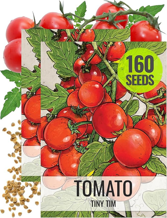 Seed Needs Tiny Tim Tomato Seeds for Planting - Non-GMO, Heirloom & Untreated - Organically Grow an Outdoor Vegetable Garden - Dwarf Plants Produce Cherry Tomatoes (2 Packs)