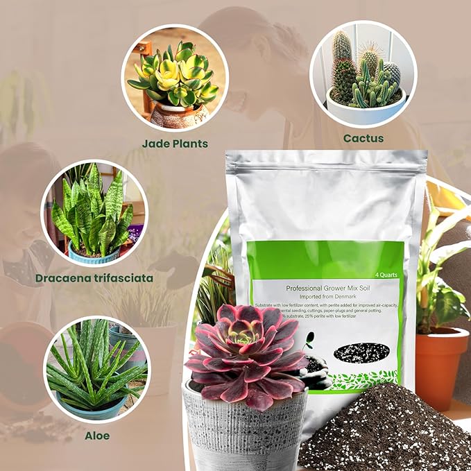Succulent Cactus Potting Soil Mix (2 qt), All-Purpose Garden Soil for Indoor Outdoor Plants, Quick Drain Houseplant Orchid Bonsai Soil, Ready-to-Use Perlite Soil, Resealable Bag Design